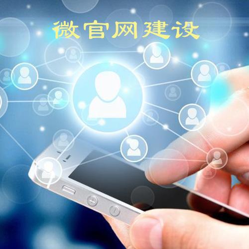 網(wǎng)站被降權(quán)懲罰后需要做的工作有哪些？